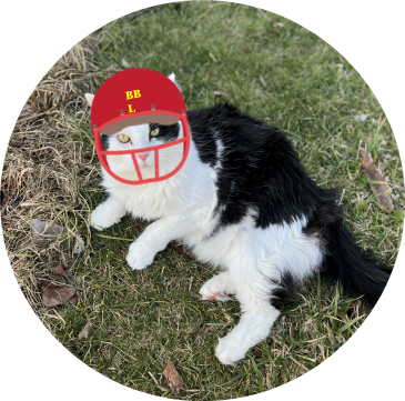 Floofs Footballers
