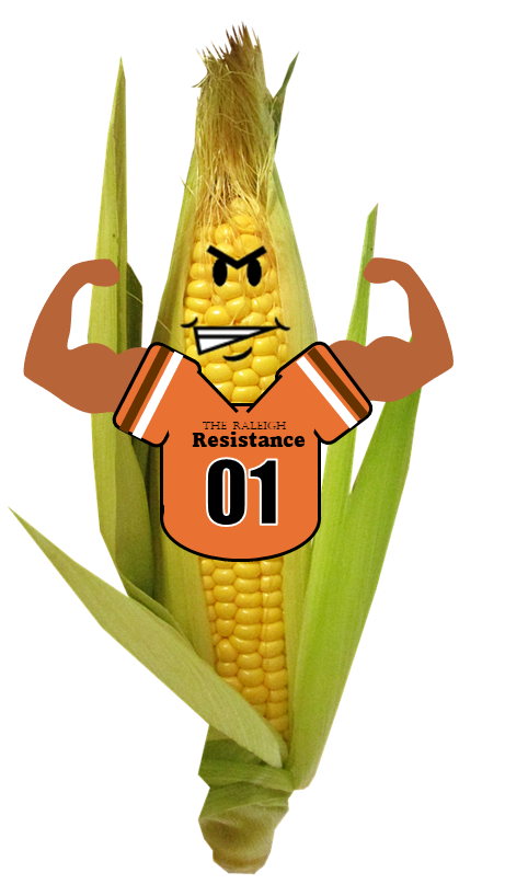 The Raleigh Resistance